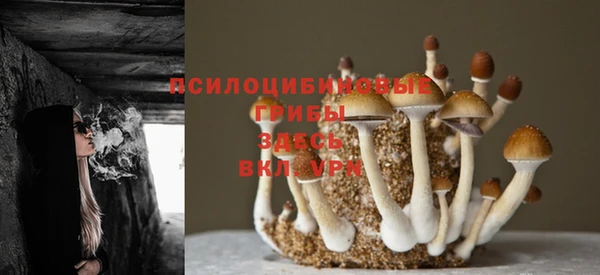 соль курить ск Абдулино