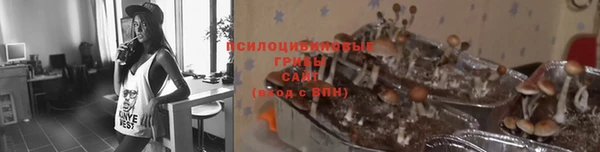 мефедрон мука Алексеевка