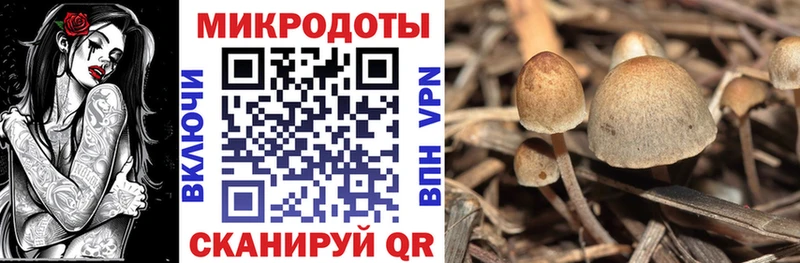Псилоцибиновые грибы Cubensis  Орёл 